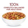 Purina Beneful Originals Dry Dog Food Farm Raised Beef 40 lb Bag