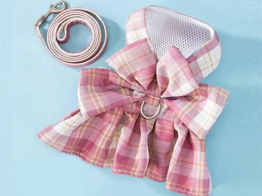 Dog Skirt Hand Holding Rope Small And Medium Pet Supplies (Option: Romantic powder dual purpose-XS)